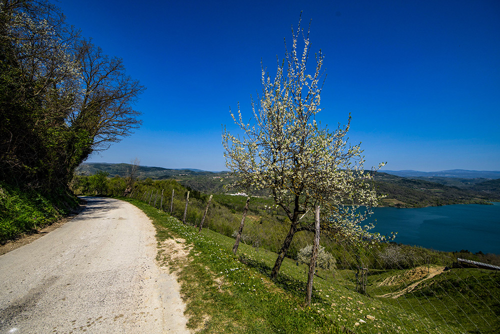 Спецучастки ралли Хорватия 2026