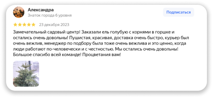 Отзыв клиента