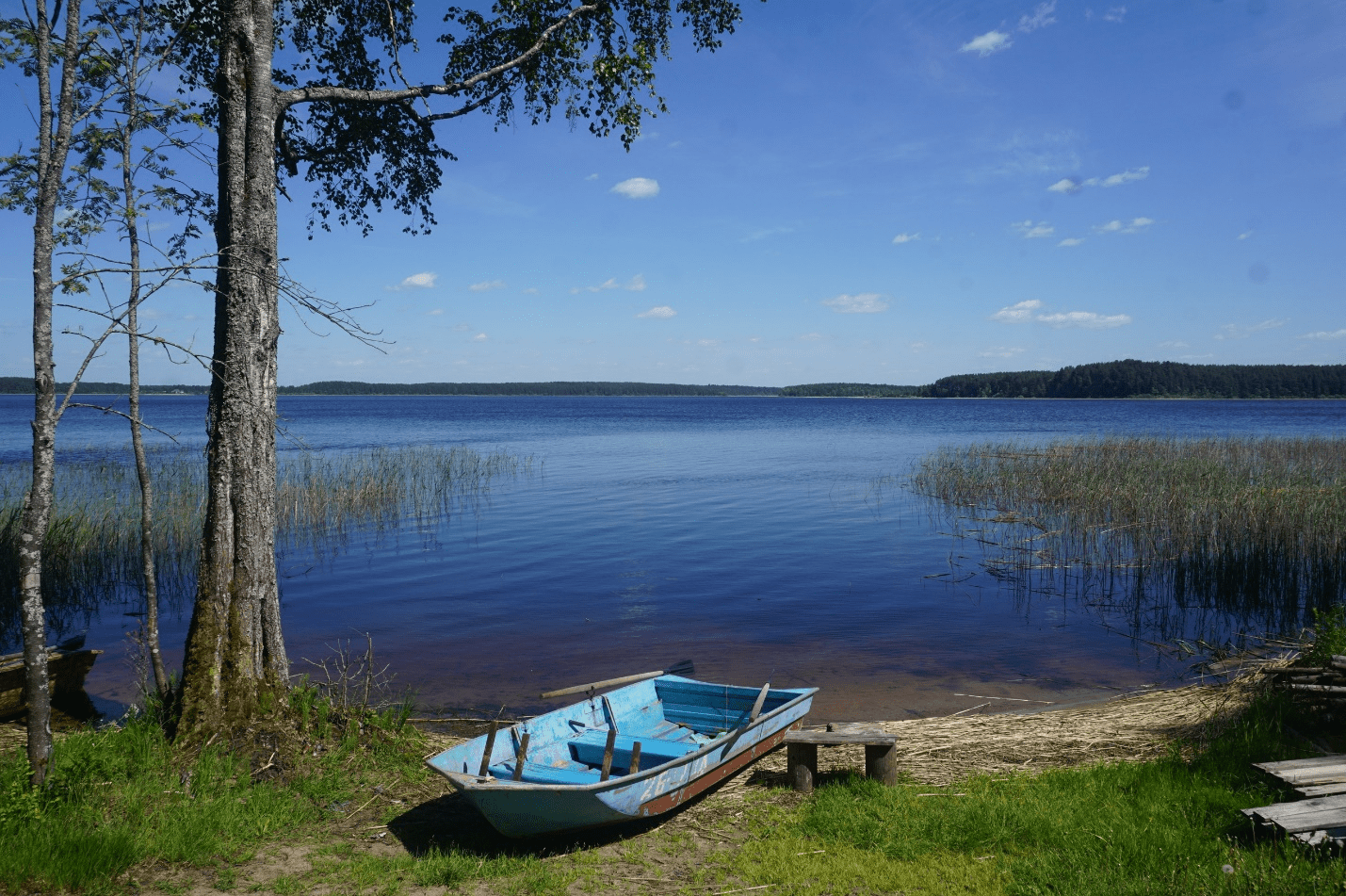 Базы озеро большое. Озеро болонь Хабаровский край. Озеро большой Кисегач. Щучье озеро Селигер. Озеро Пайкъярви Карелия.