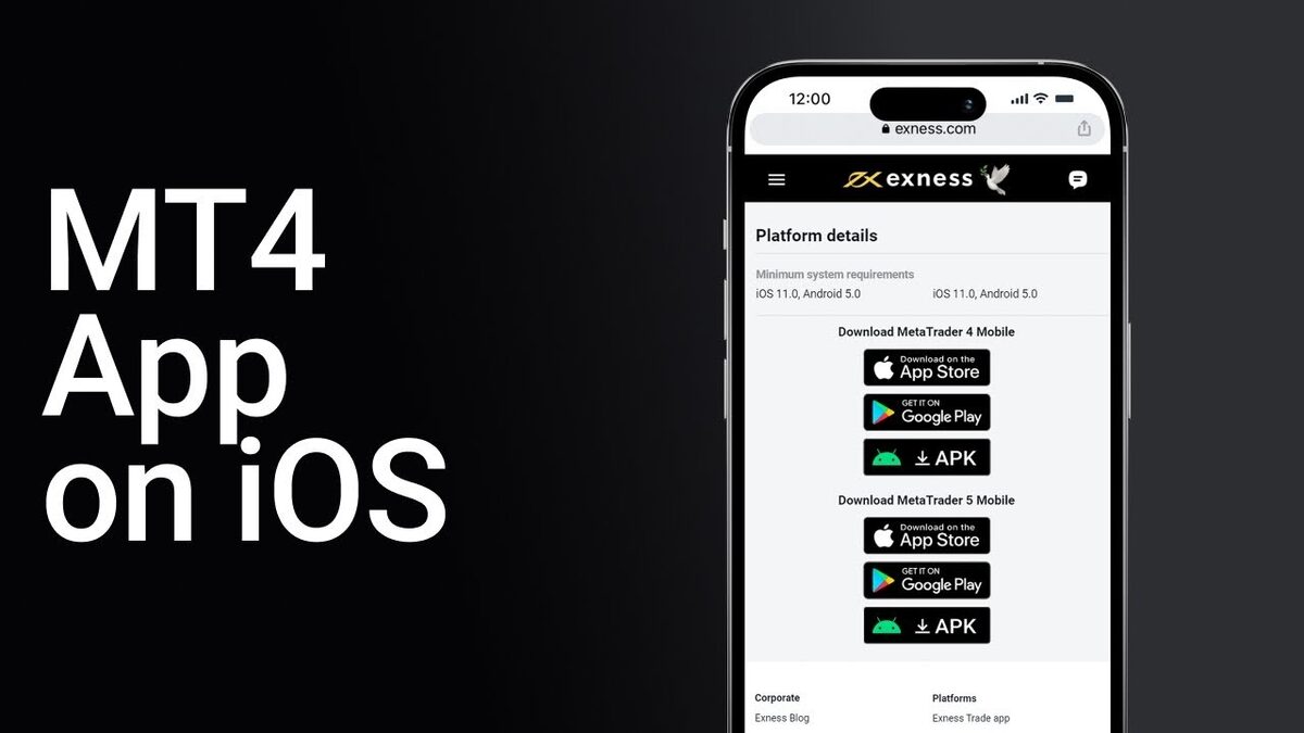 Exness MT4 Download – Trading Platform for PC and Mobile