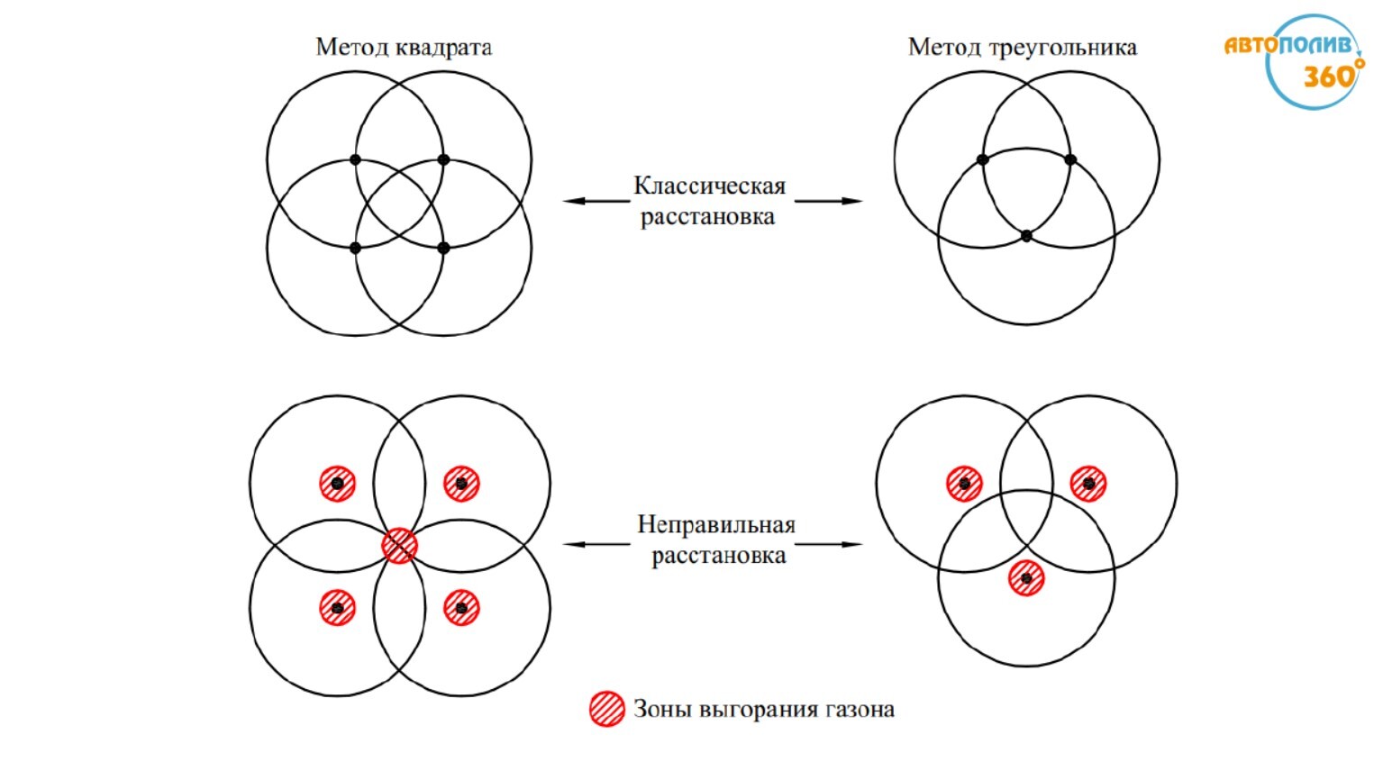 Почему появляются желтые пятна на газоне: наглядная разница между правильным перекрытием и ошибками расстановки.