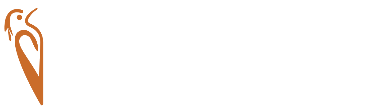DM-DECOR