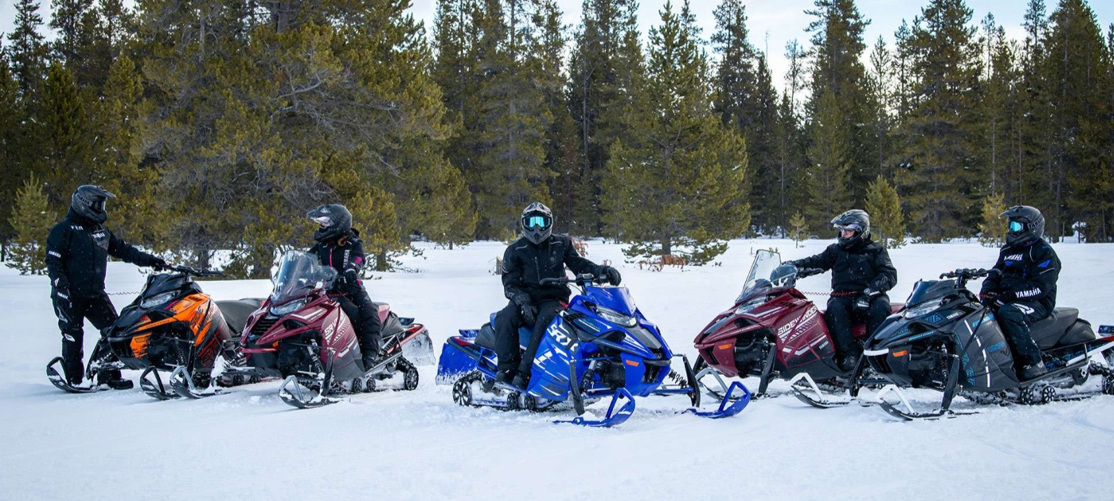 Запчасти на снегоход Yamaha