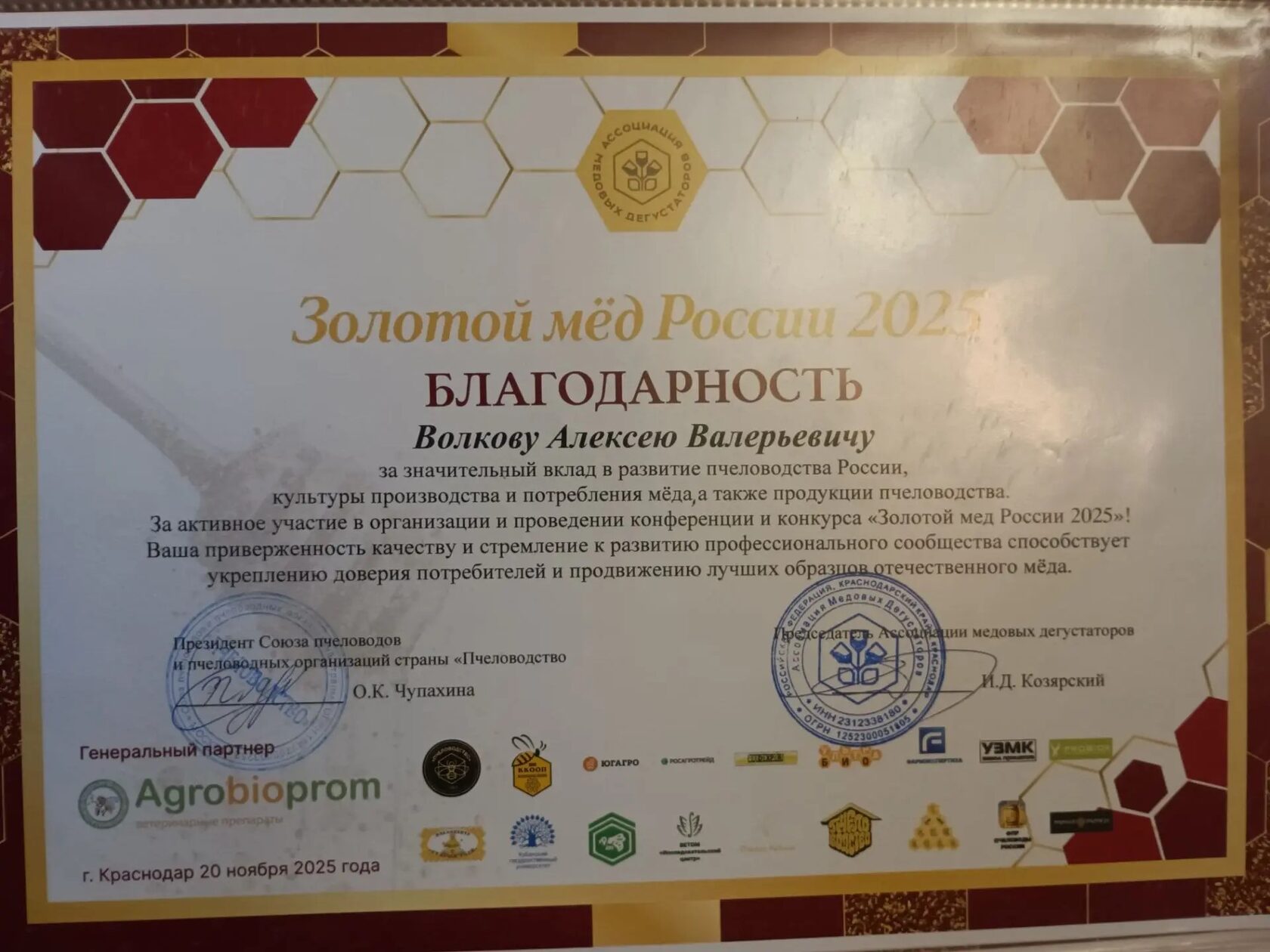 Благодарность за организацию и проведение Волков Алексей Валерьевич 