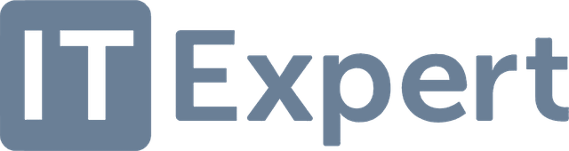 IT Expert