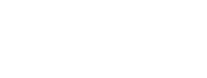 Ekziperī Starptautiskās vidusskolas logotips