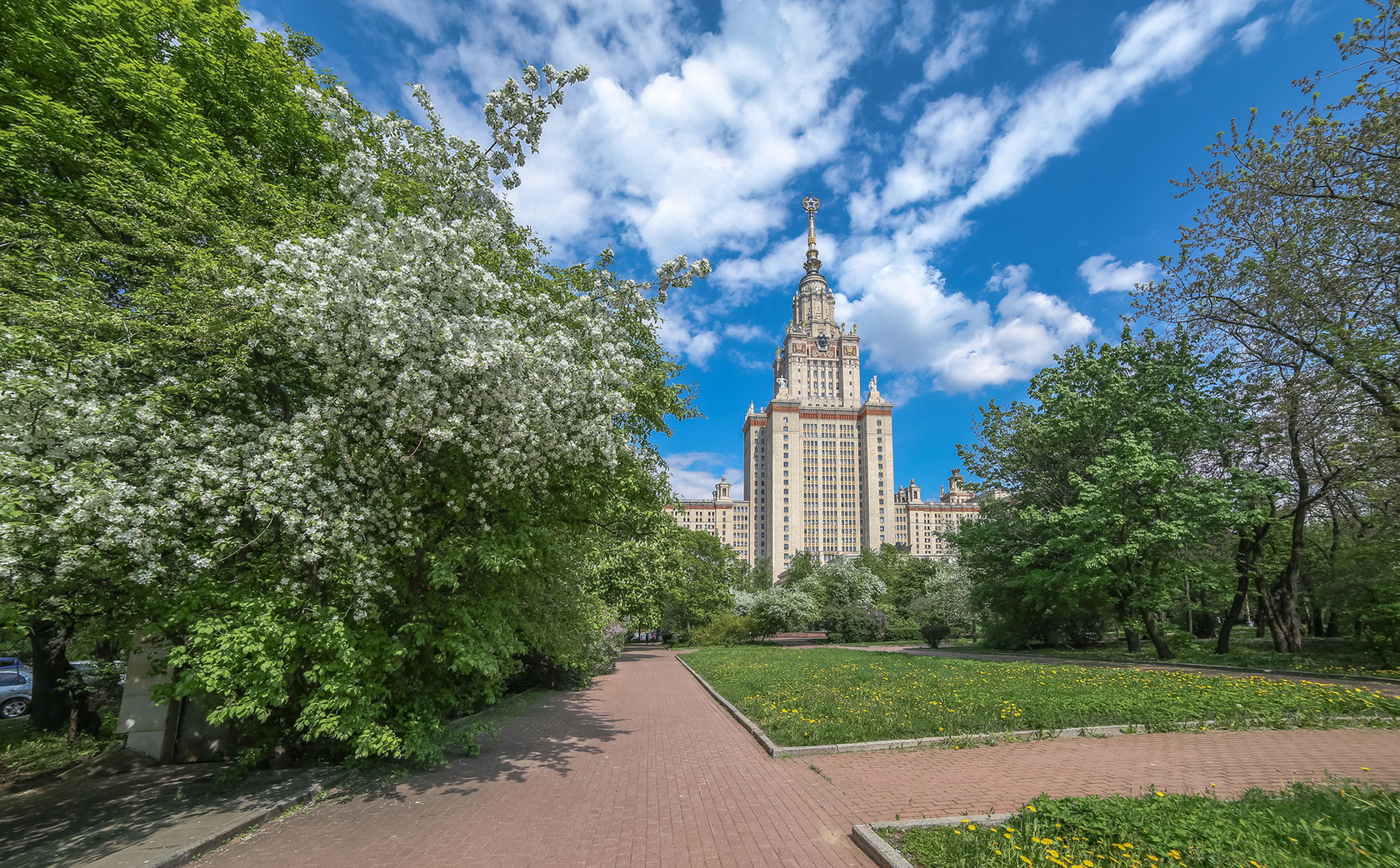 Воробьевы горы сакура. Сакура МГУ Воробьевы горы. Аллея МГУ. Москва МГУ весной. Ботанический сад МГУ имени м. в. Ломоносова.