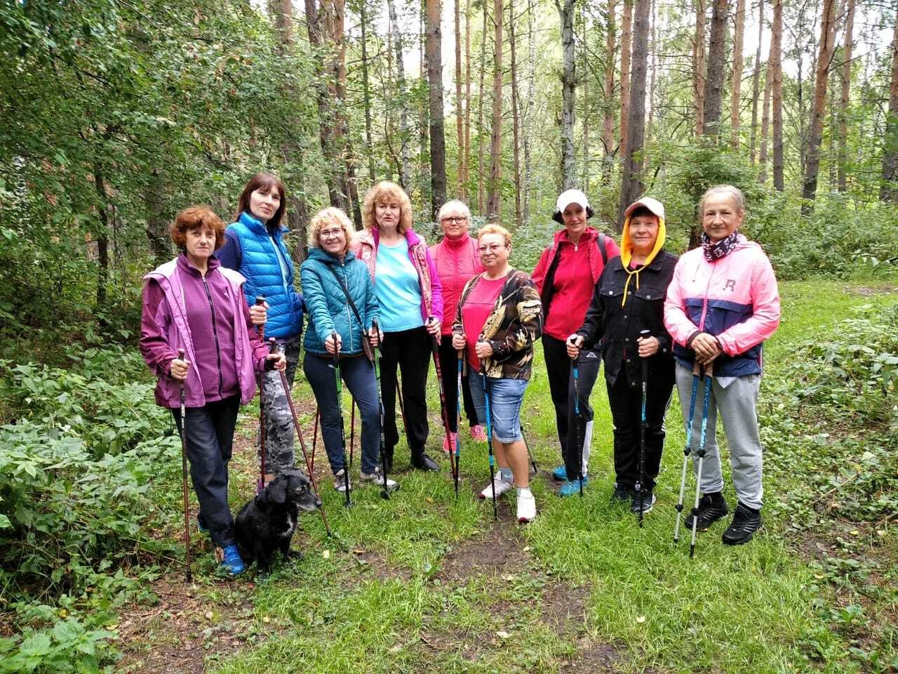 вид спорта групповые походы с целью физической закалки организма фото 65