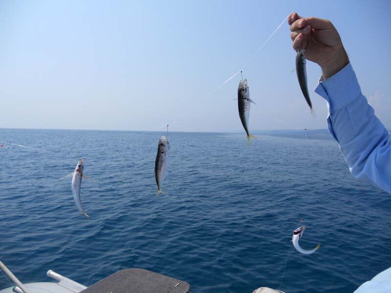 Ловить рыбу в море