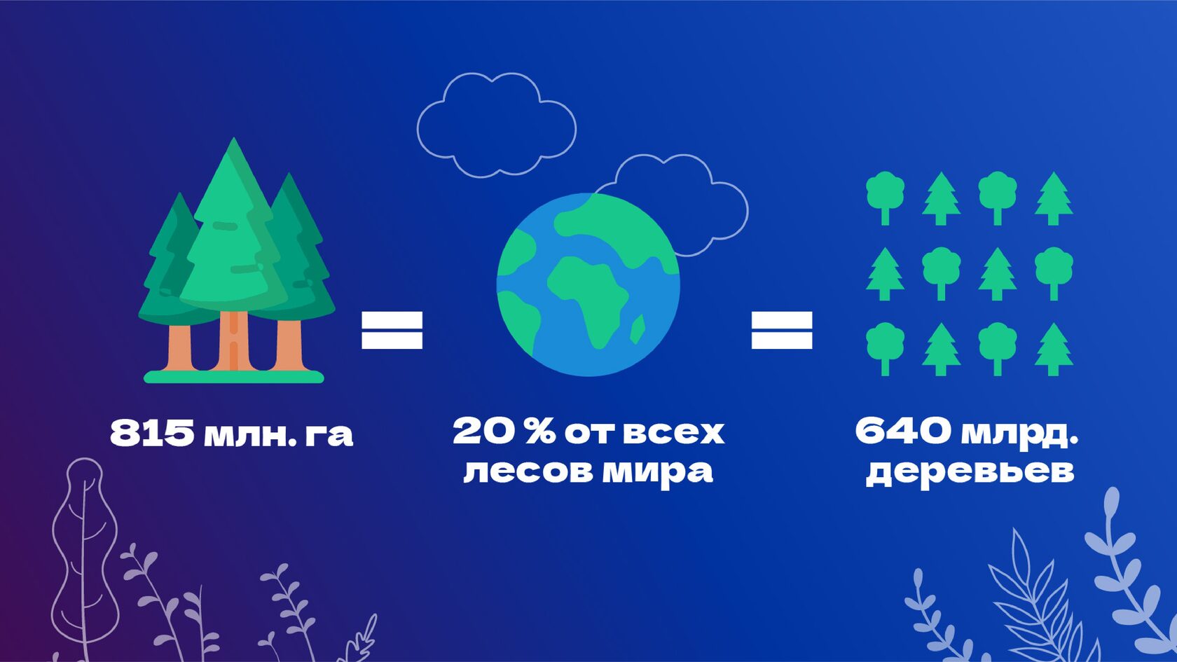 Как стать эковолонтёром? Гайд для тех, кто хочет помочь природе, но не знает как | VK