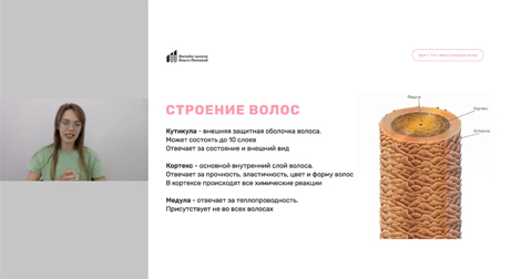 Строение волос. Урок №1 курса полировка волос