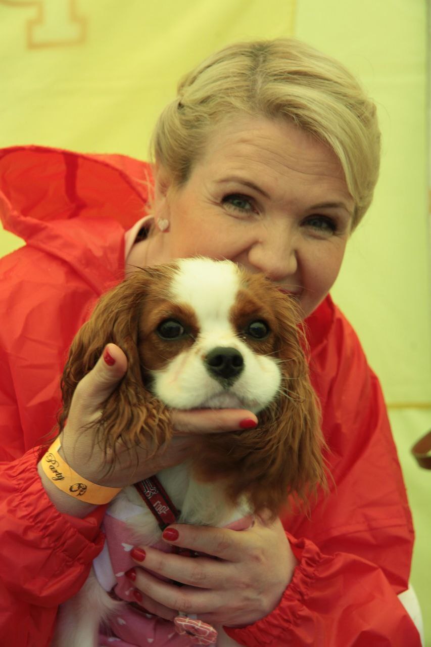 Как пережить смерть собаки от рака - На радуге