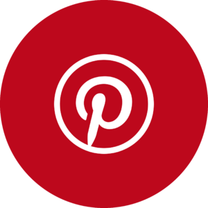 website icon