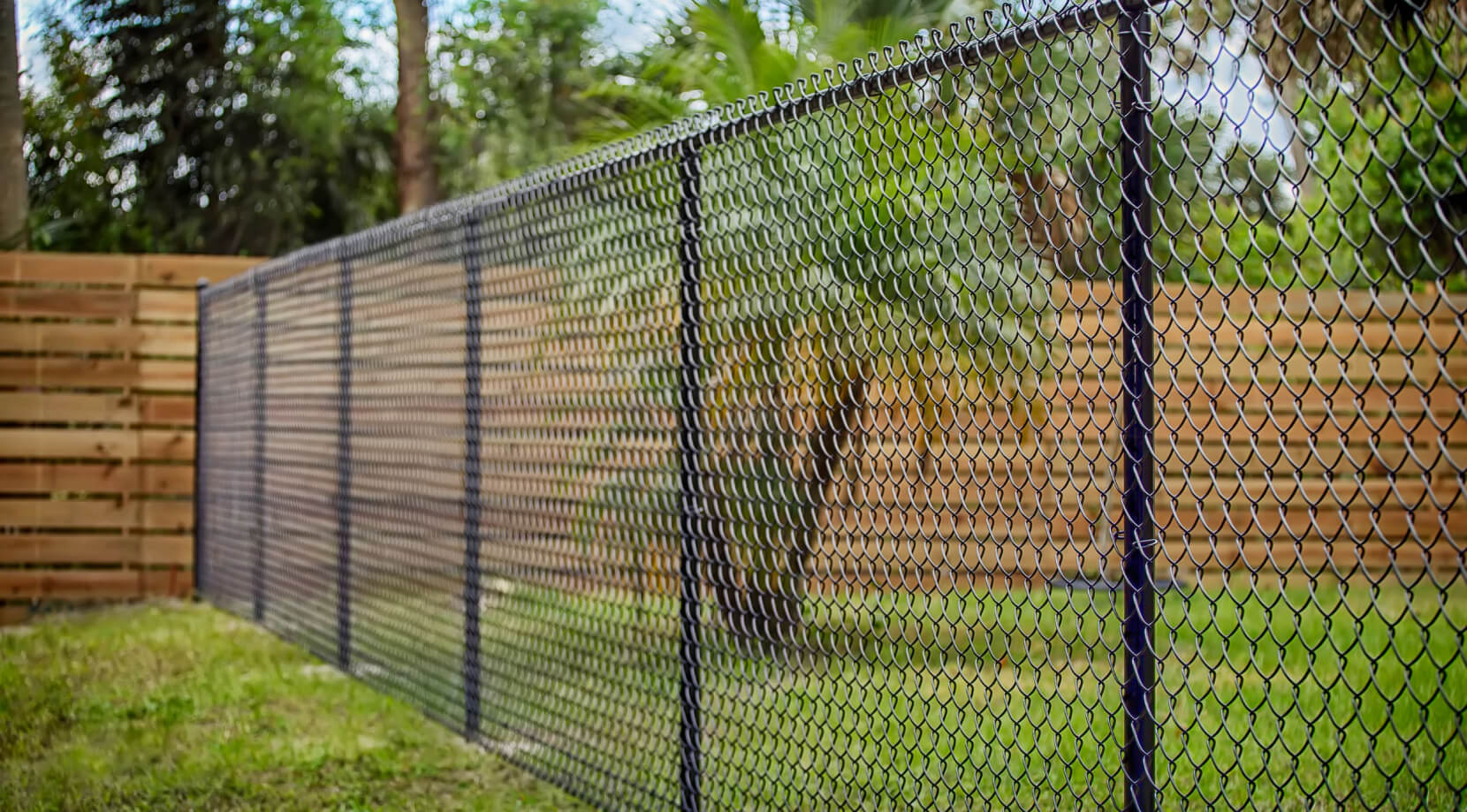 Можно ставить глухой забор. Забор сетка рабица. Забор из сетки рабицы. Секционный забор из рабицы. Забор между соседями из сетки.