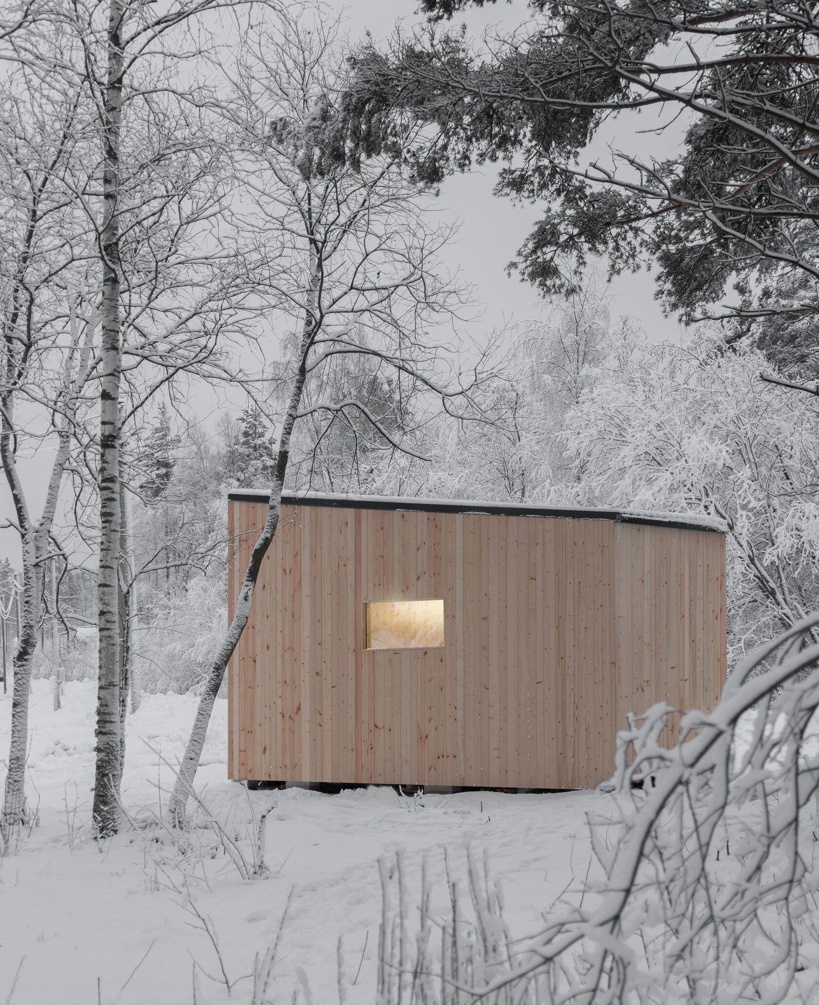 The Cabin