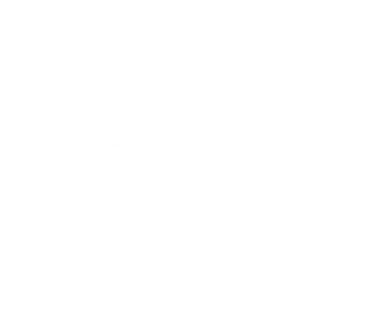 FeiFan