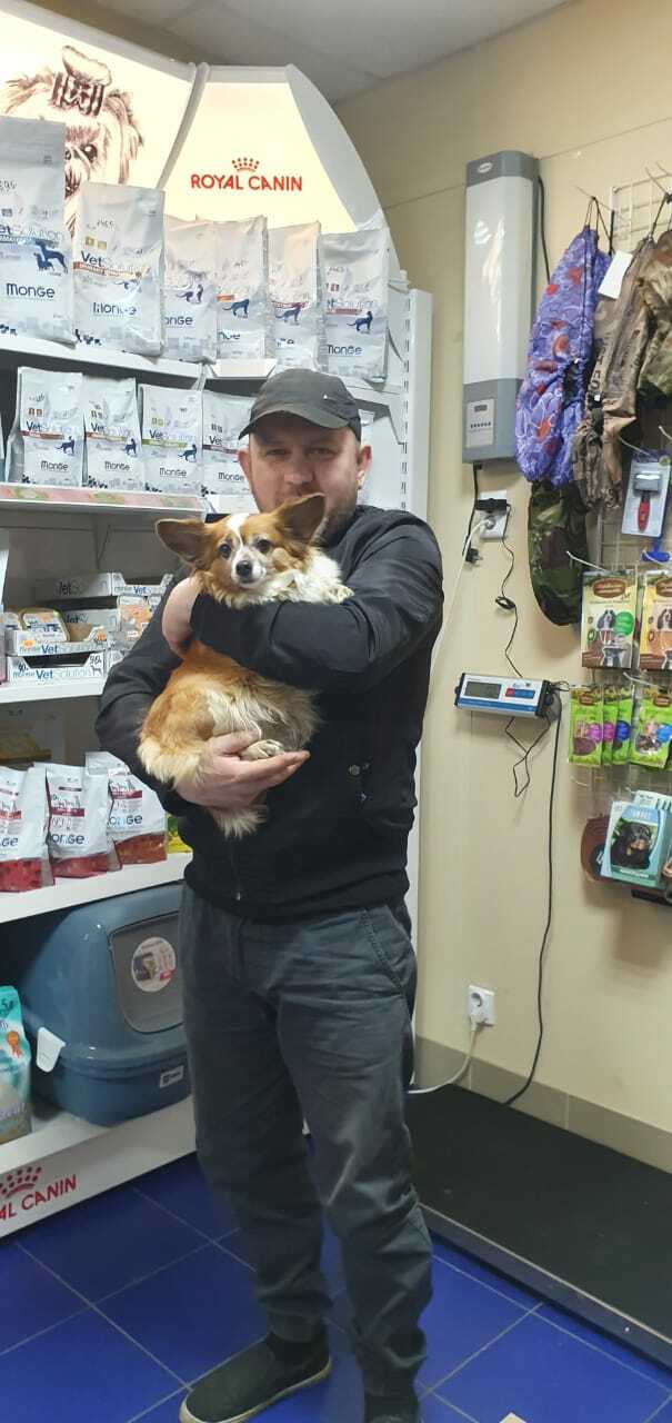 ветклиника на космонавтов, стационар для животных, лечение бездомных животных