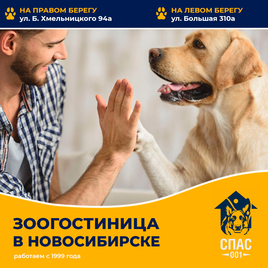Кинологический центр \"СПАС-001\" в Новосибирске.