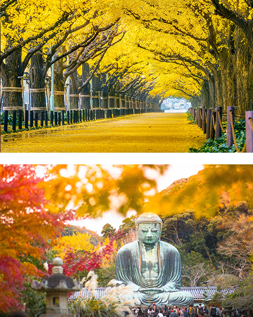 Знаменитая статуя Будды в Камакура осенью