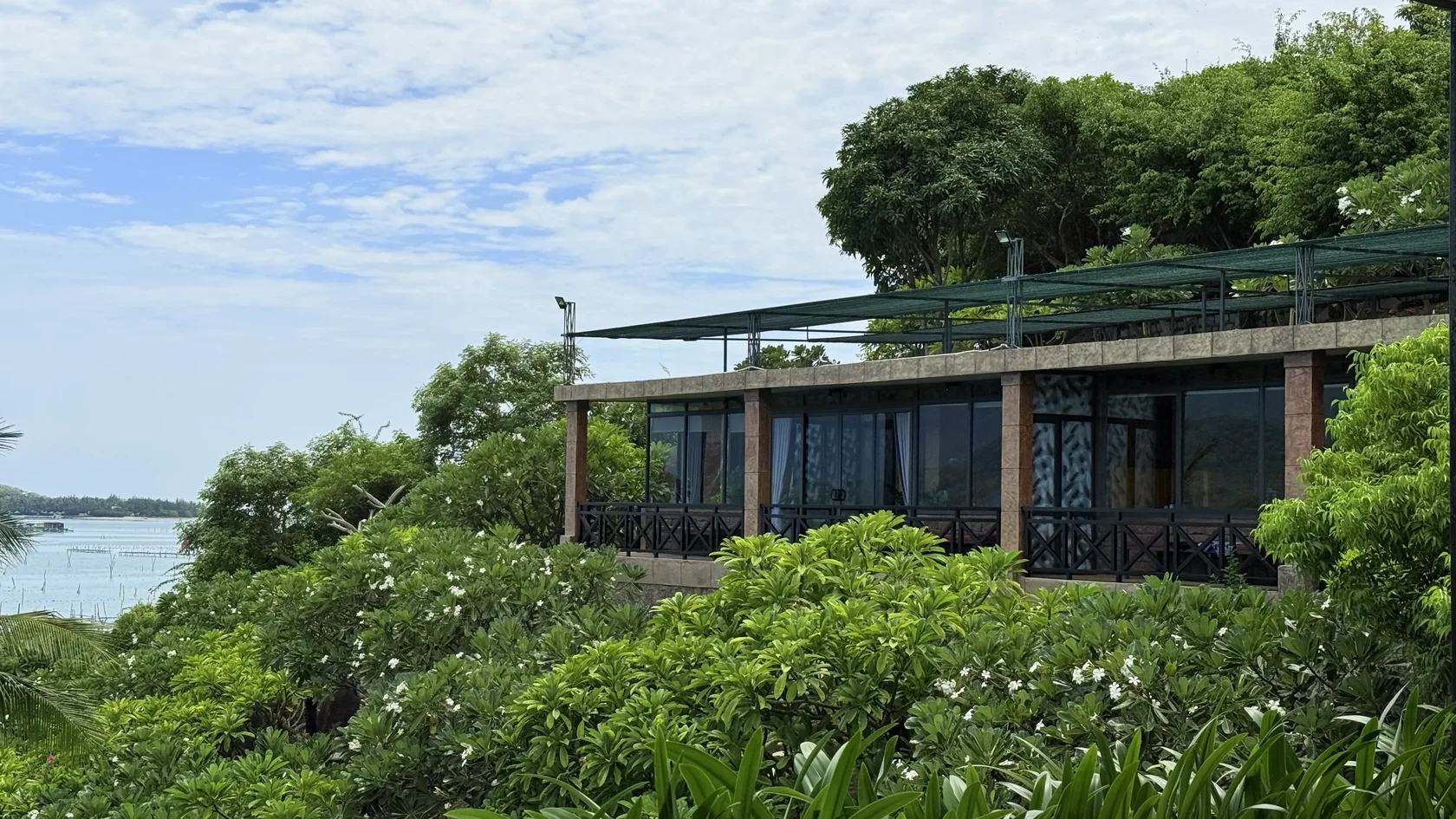 Тропическая зелень Green Oasis