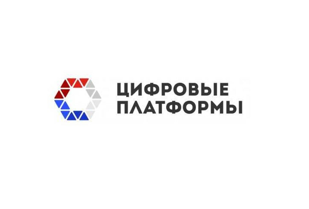 Ано цифровые. Цифровая платформа. Платформа логотип. Logo цифровых площадок. Логотипы АНО.