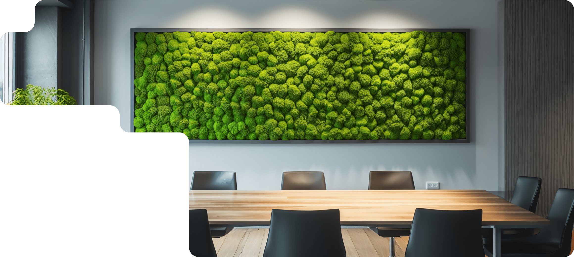 стабилизированный мох для офисе