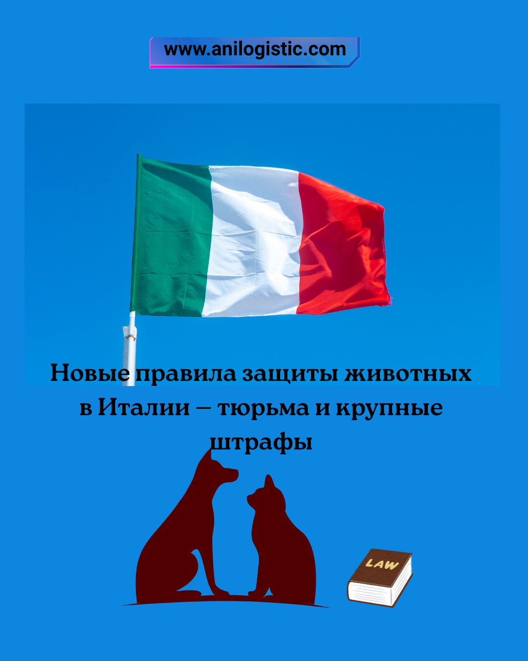 Италия усилила защиту животных: Закон № 82 вступил в силу с 1 июля 2025 года