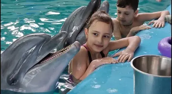 Дети в воде рядом с дельфинами