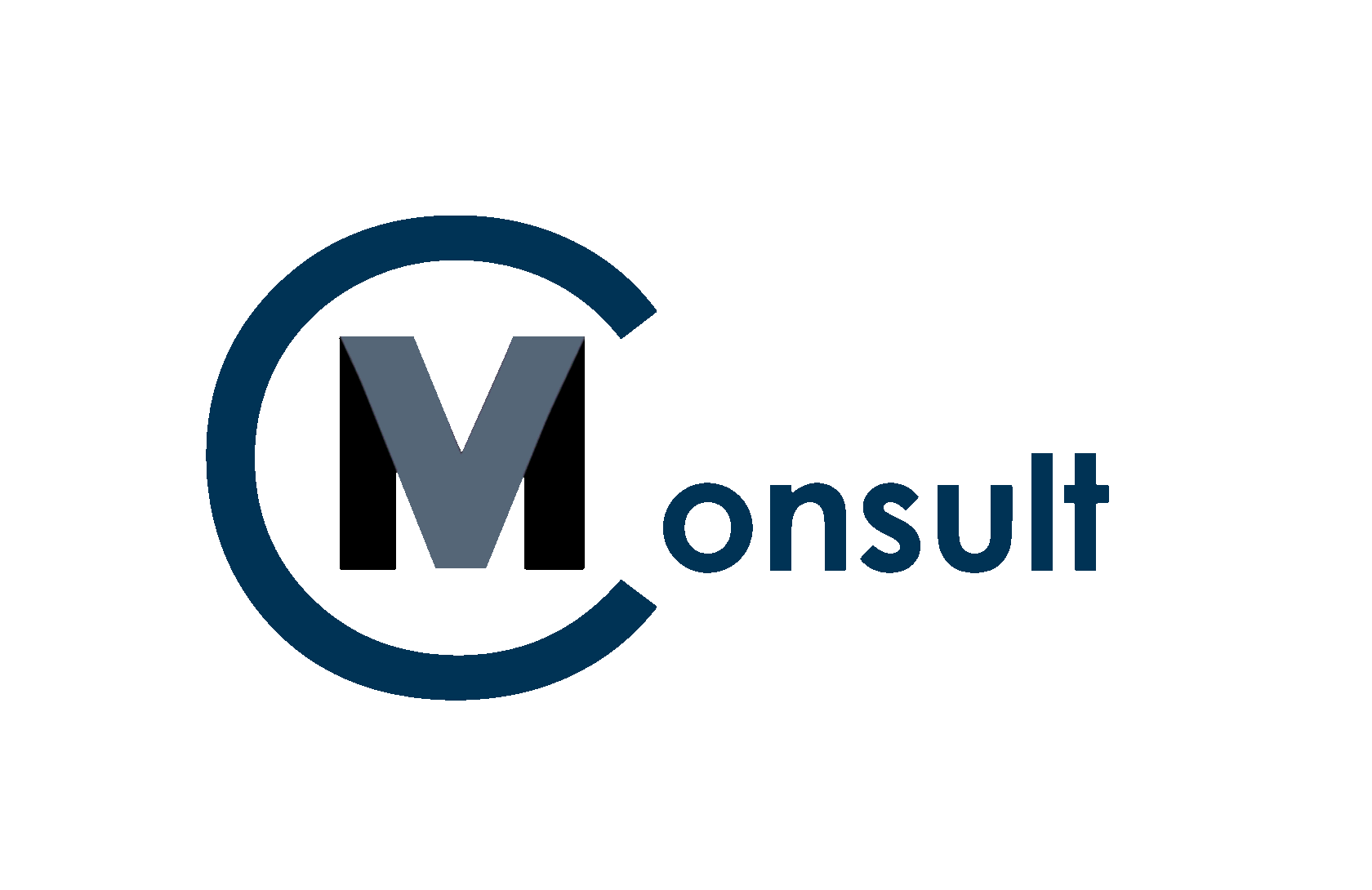 MV-Consult