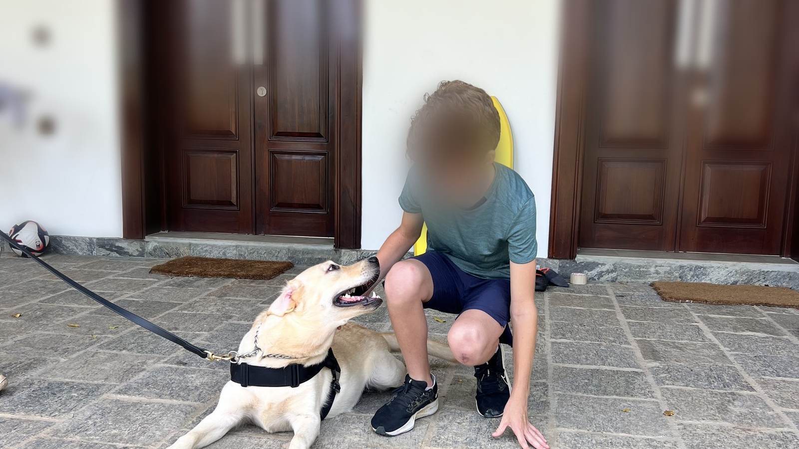 VONFIDEL K9 trained dog in a diplomatic household