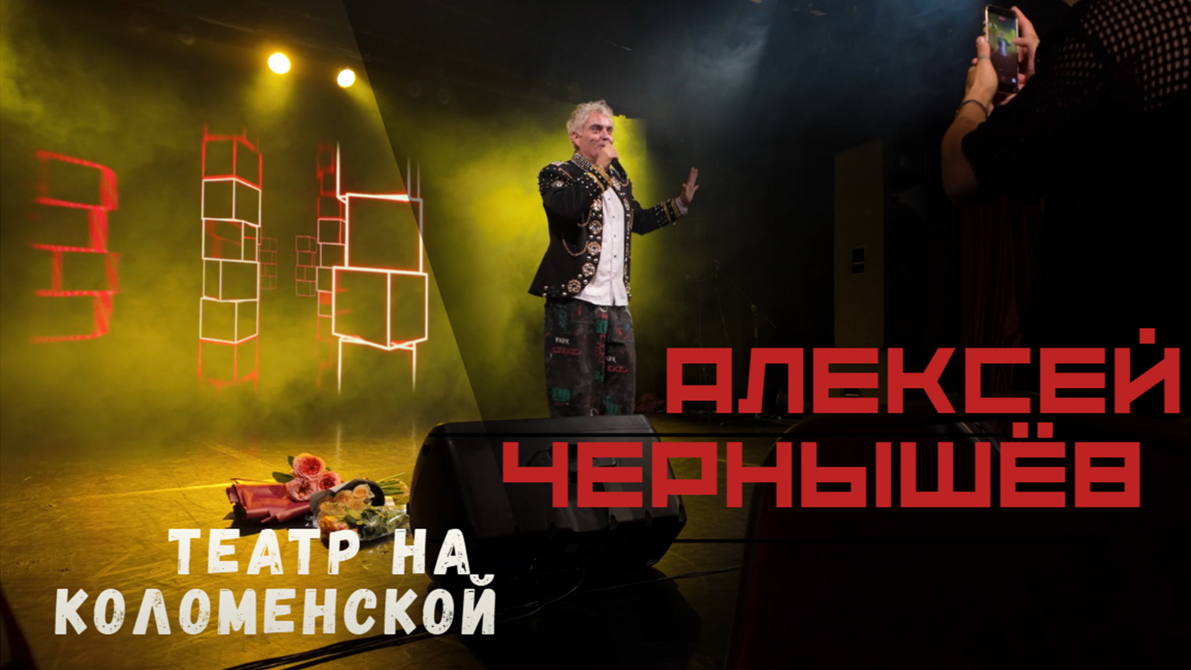 Концертное live-видео 2