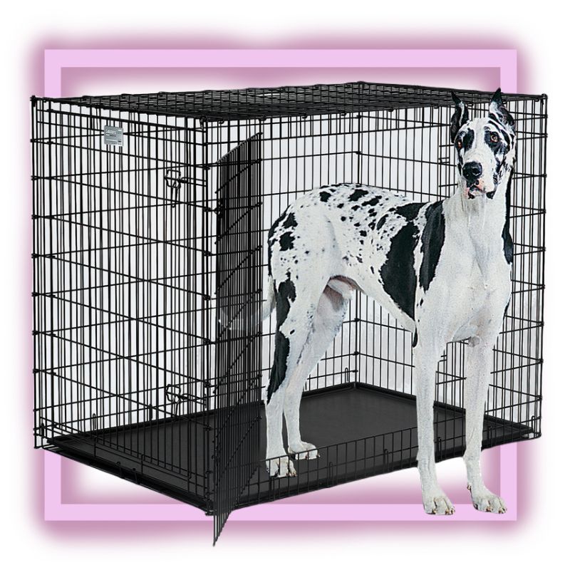 Клетка для собак n1 дкс044с/хром 108х69х78 см. Клетка для собак 2 двери. Midwest клетка icrate 107х71х76h см 1 дверь черная. Клетка для собак 2 двери. 2х81.