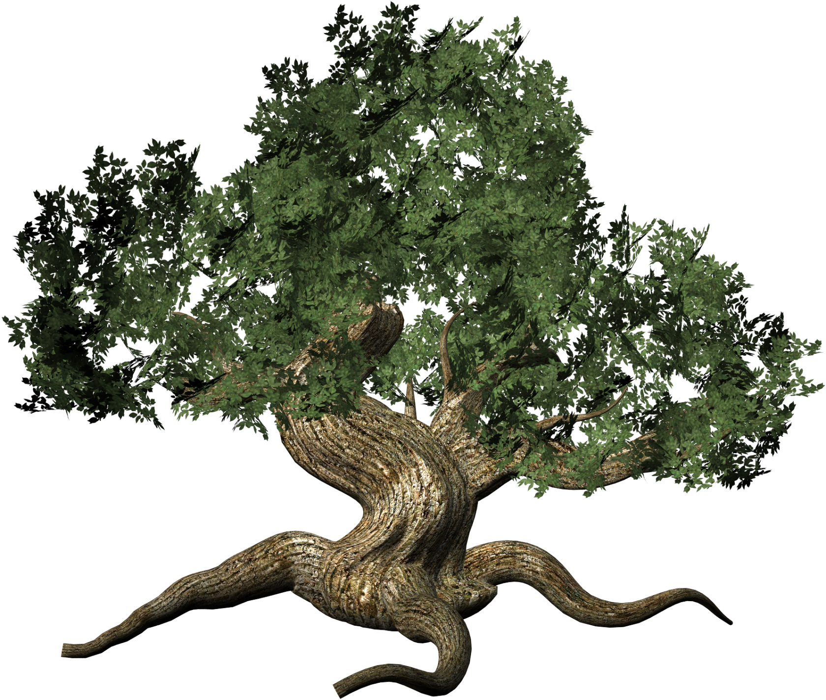 Древо познания