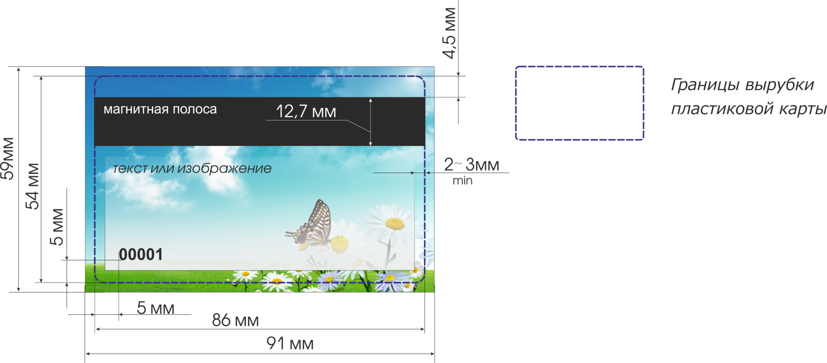 Размер карточки. Макет пластиковой карты. Пластиковая карточка Размеры. Размер пластиковой карточки. Размер пластиковой карты.