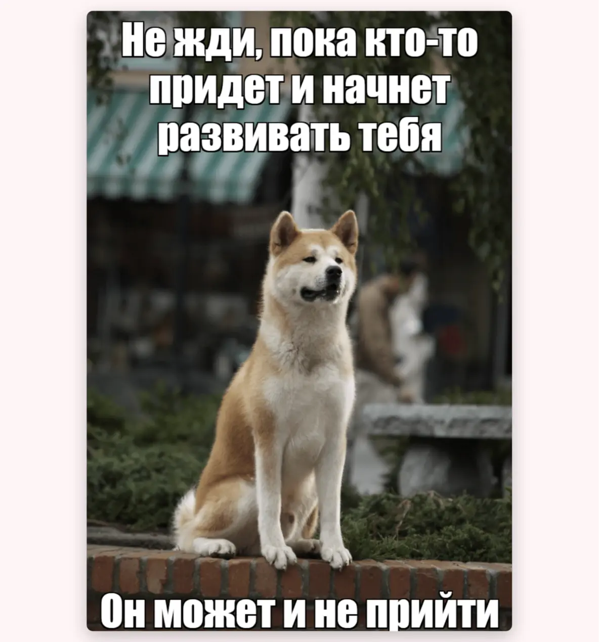 Не надо ждать, а надо пользоваться возможностями компании и проявлять инициативу