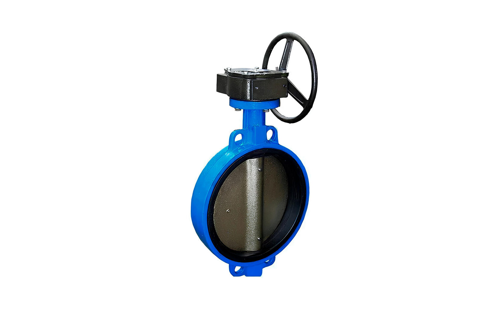 Затвор дисковый