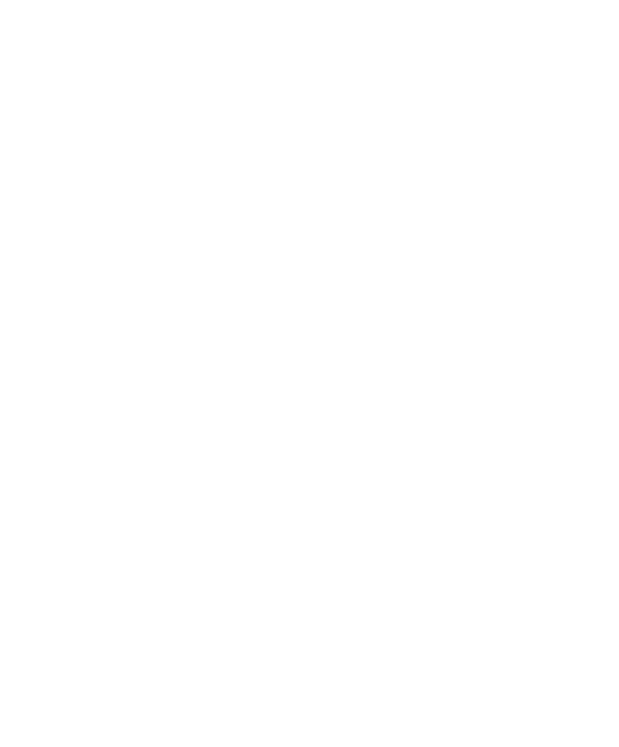 МУЛЬТИБРЕНДИНГ