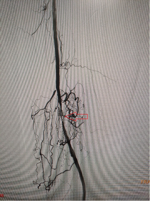 Рославль вызов врача на дом