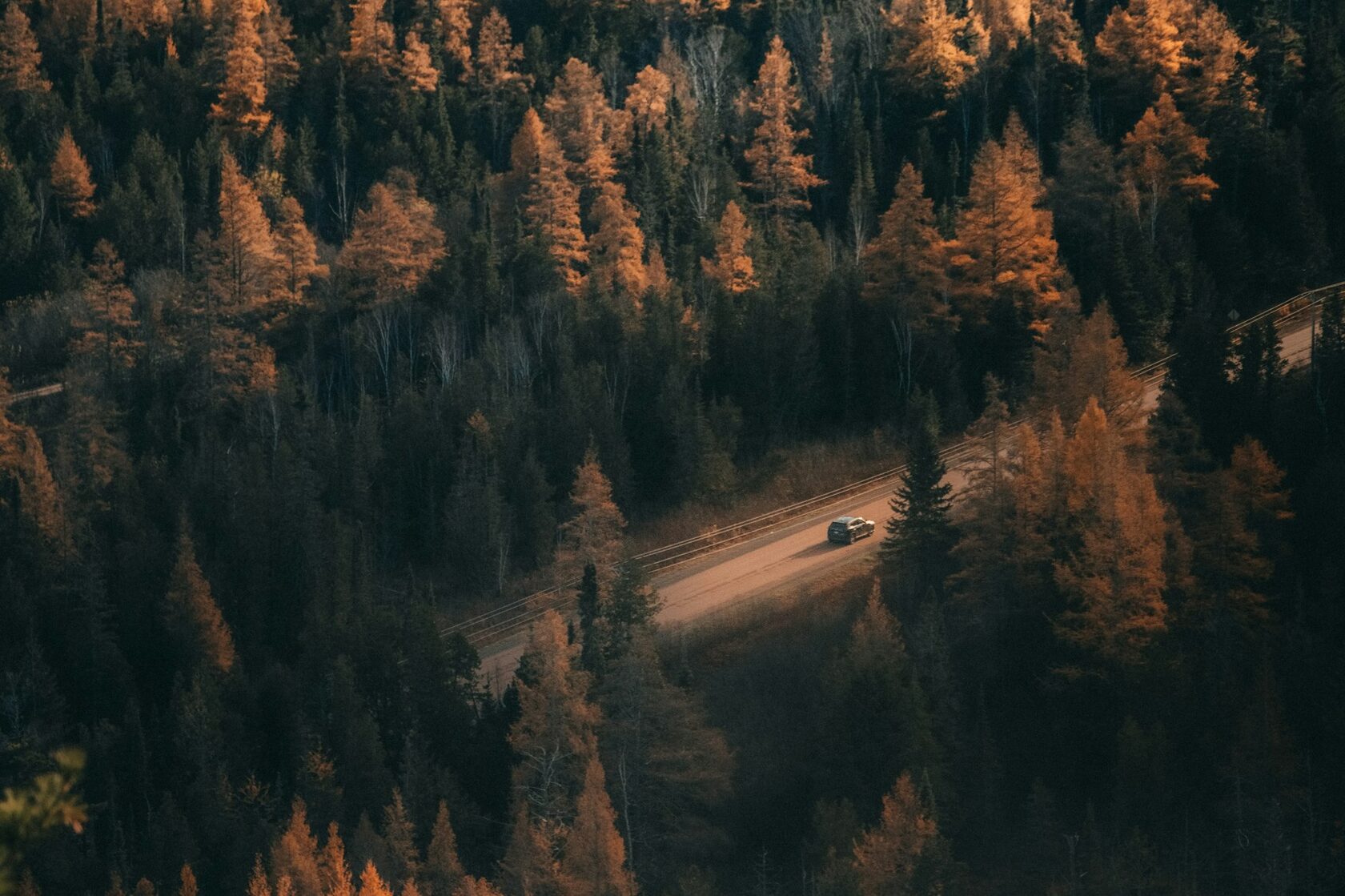 Осенний лес