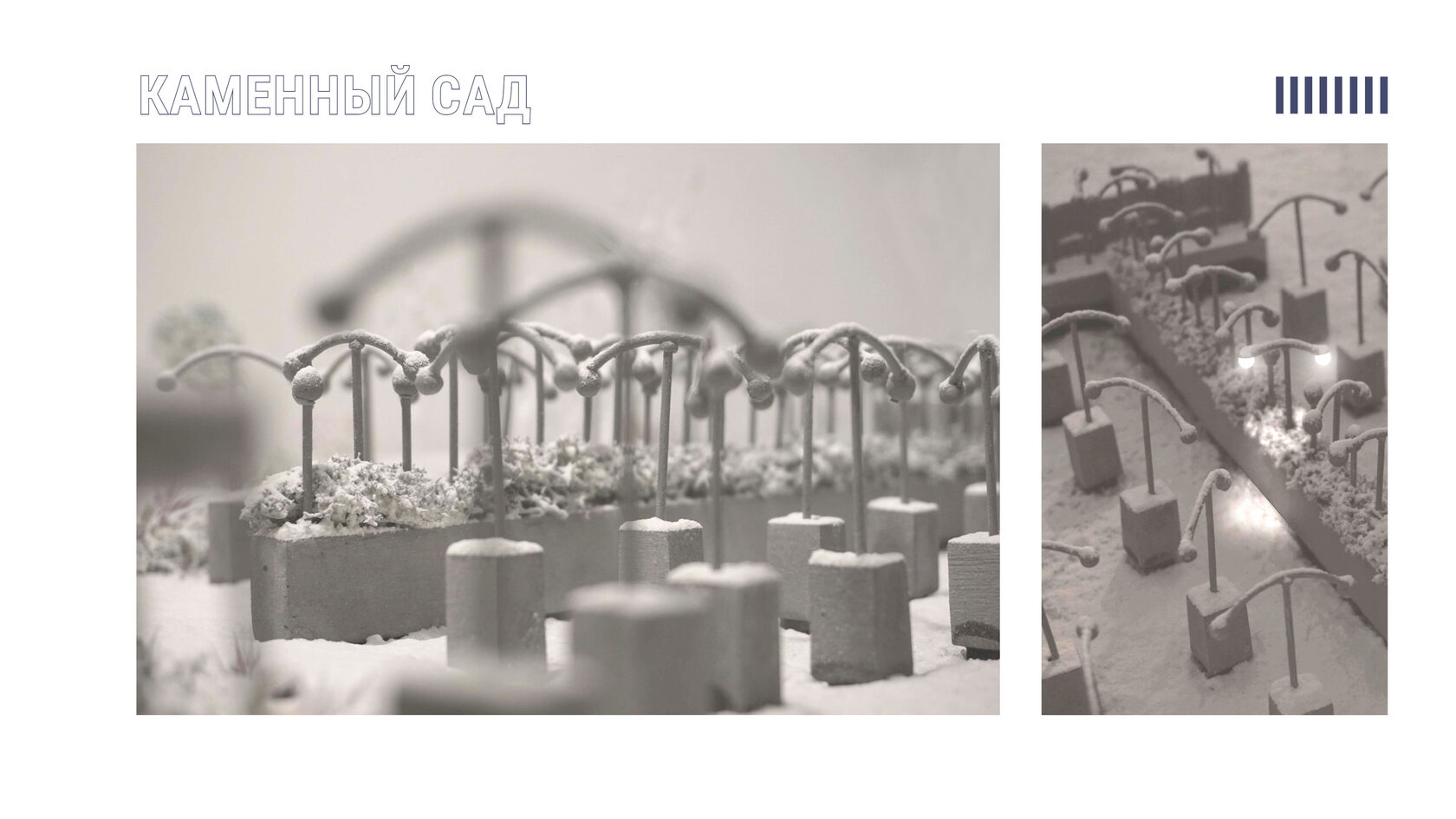 Фотографии гипсовой модели колумбария "Каменный сад" в Рижском лесу, ряды ниш для погребения праха, дугообразные фонари, умная система освещения вместо свечей. Интеграция проекта в природную среду. 