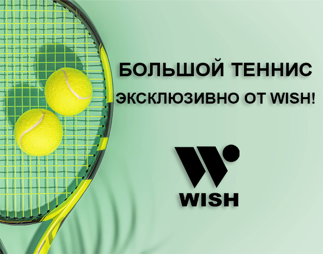 Товары для большого тенниса WISH