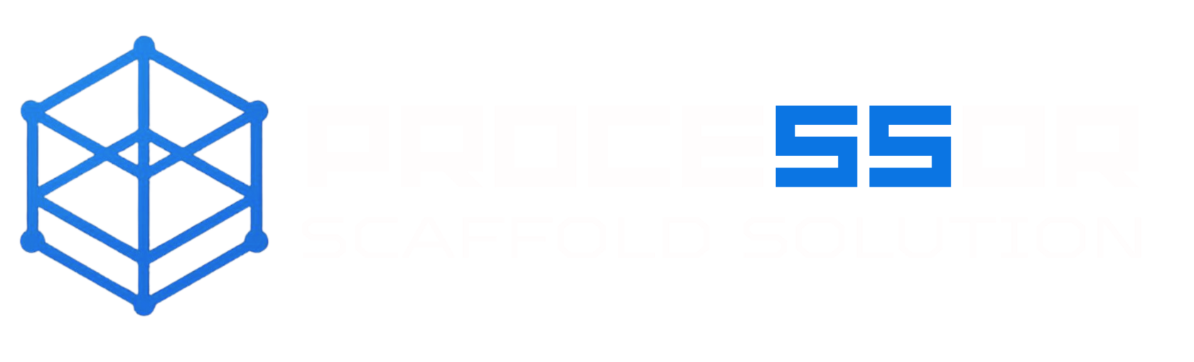 SSProcessor