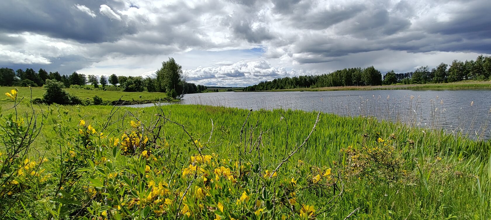 Река Проня