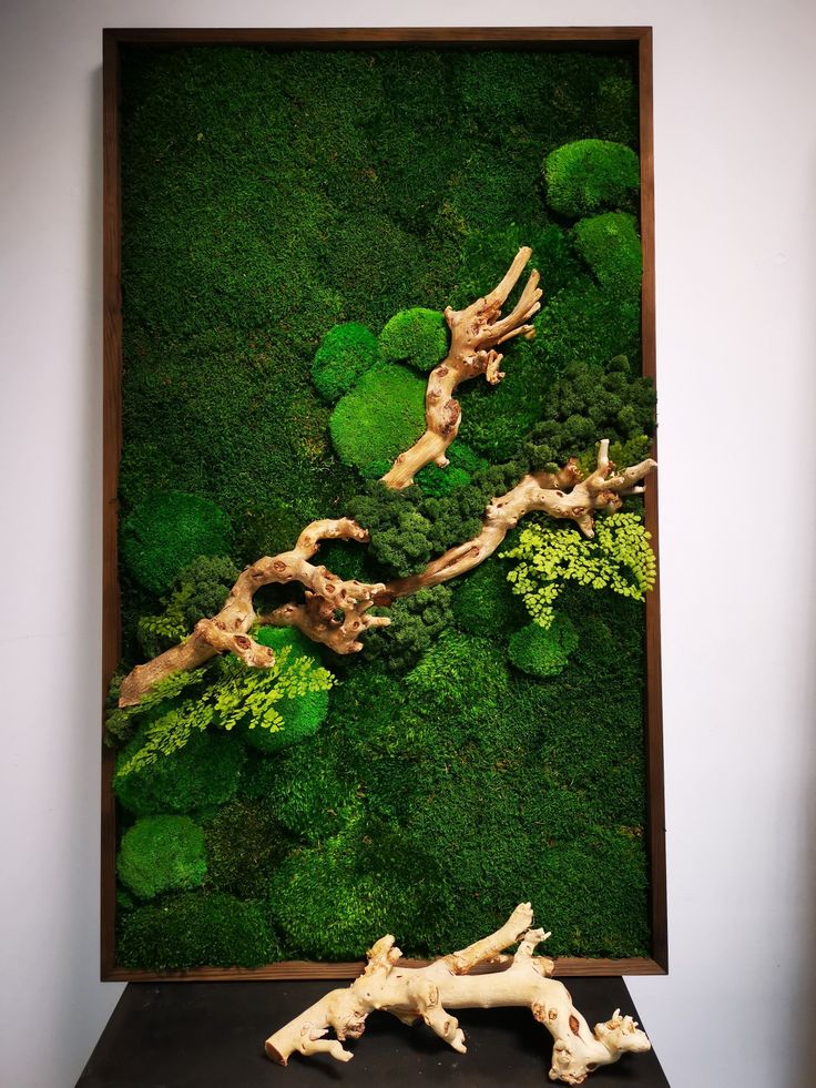 картина из стабилизированного мха и дерева