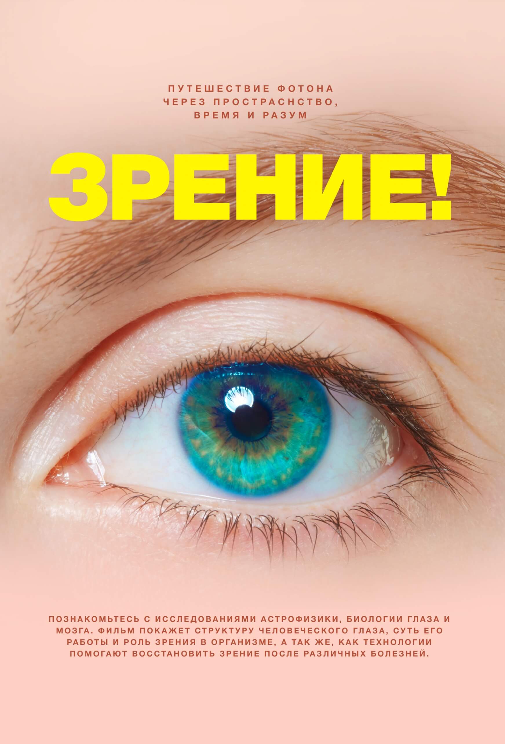 Зрение 5 картинки