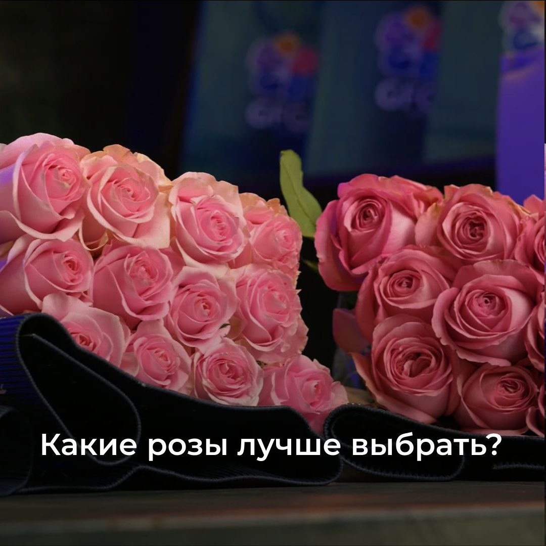 Какие розы лучше выбрать?