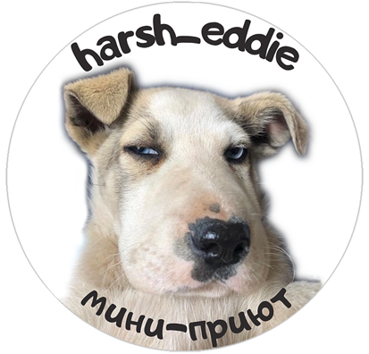 мини-приют для домашних животных