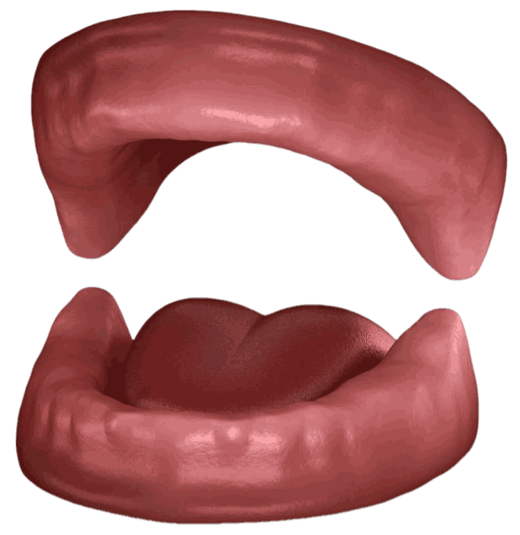 Протезы передних зубов в стоматологии Барышева ☎ +7 (908) 237-73-77 