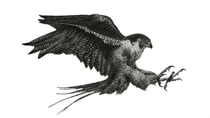 Олег Соколов