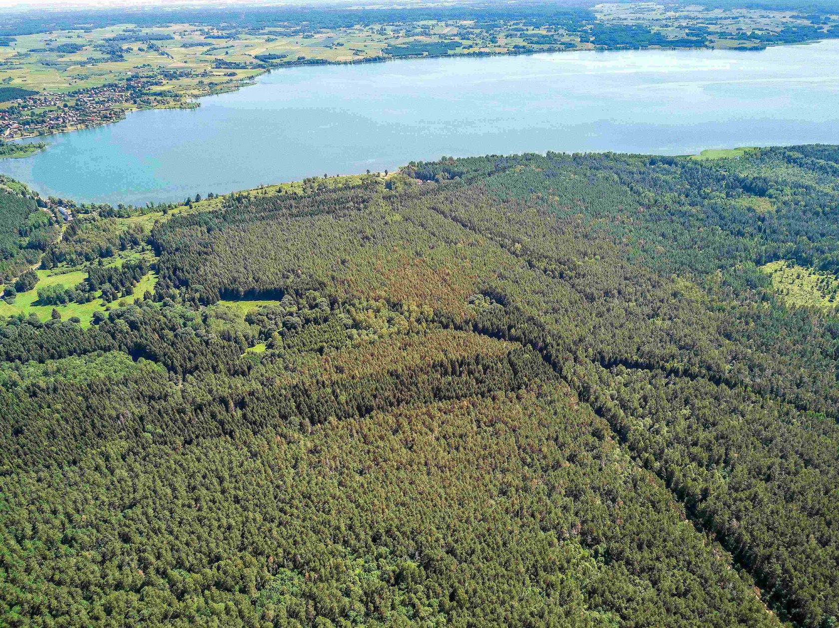 Озеро в Калининградской области Виштынецкие холмы